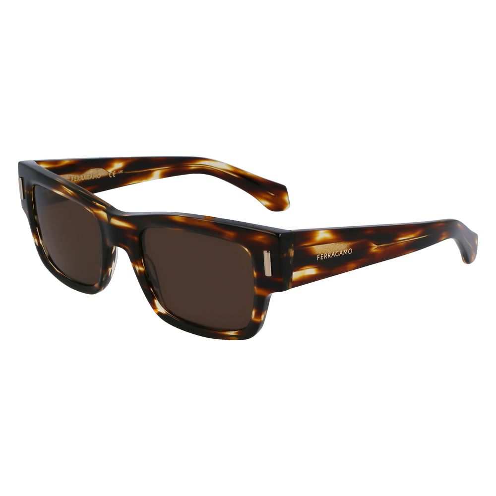 Brown Acetate Sunglasses Ferragamo