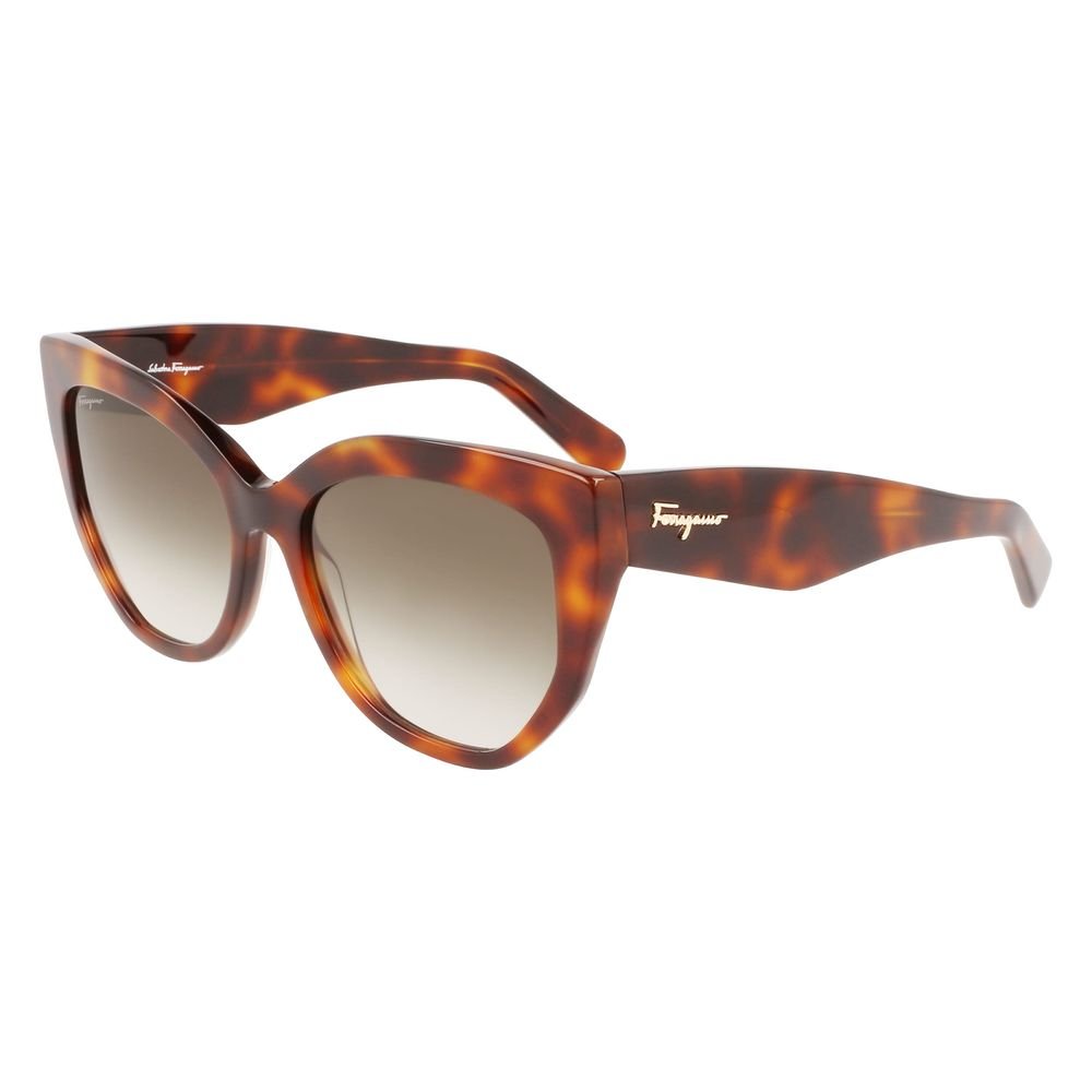 Brown Acetate Sunglasses - TIZZIL