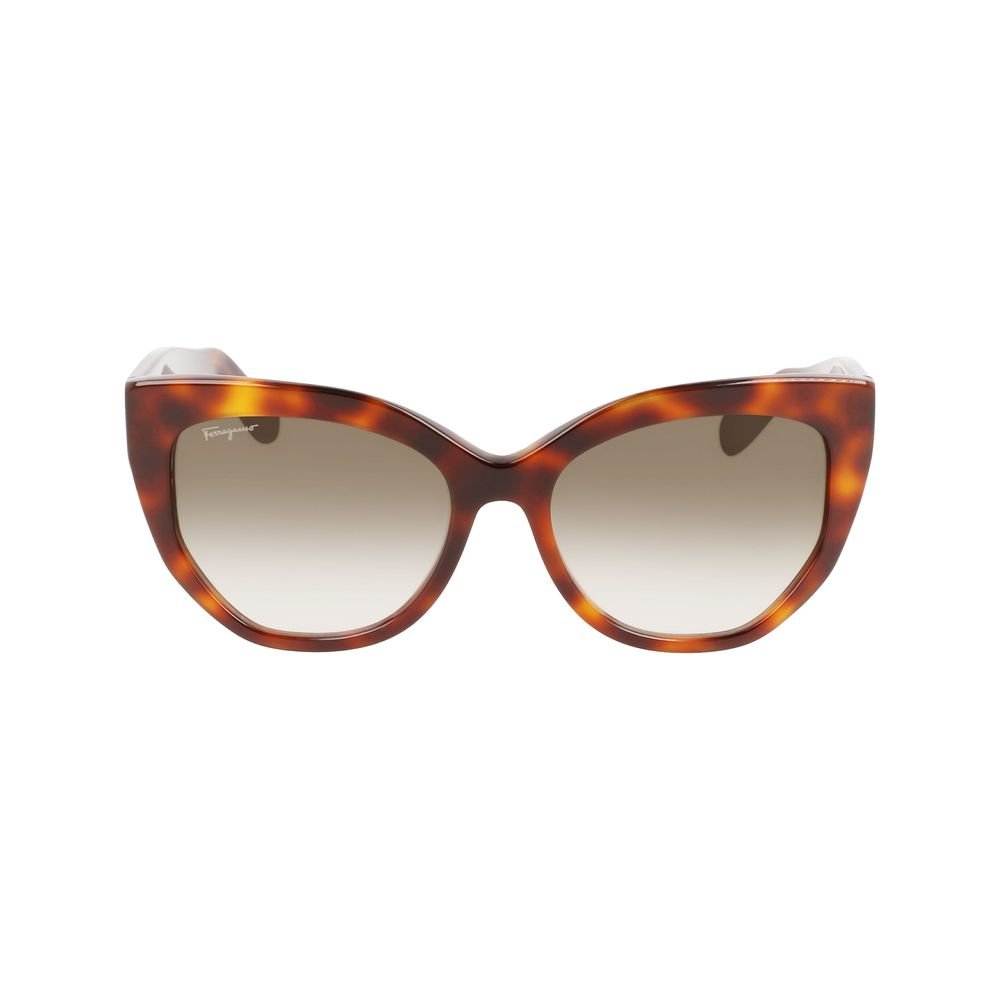 Brown Acetate Sunglasses - TIZZIL