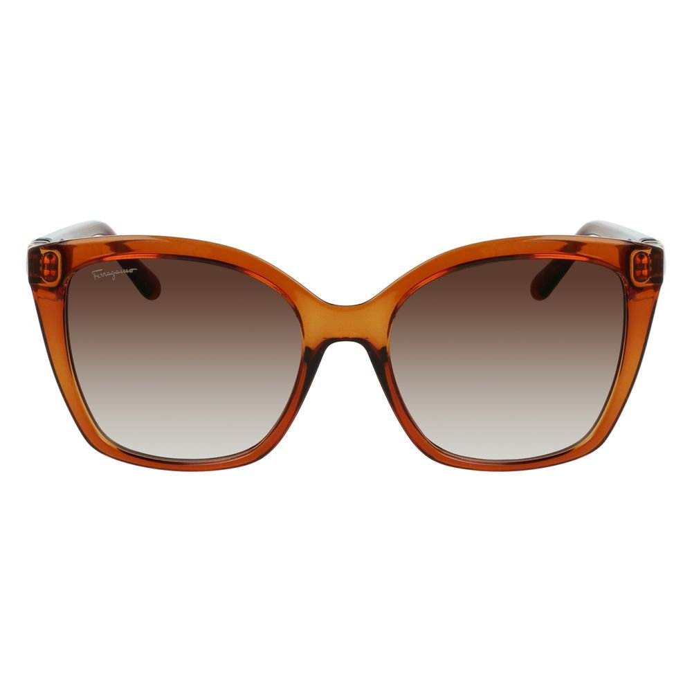 Brown Injected Sunglasses - TIZZIL
