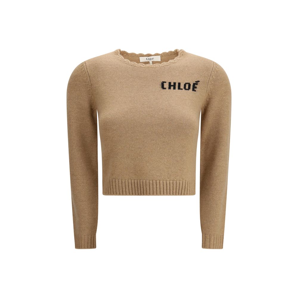 Brown Wool Sweatshirt - TIZZIL