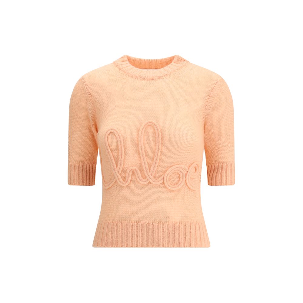 Orange Alpaca Vicugna Pacos Sweatshirt - TIZZIL